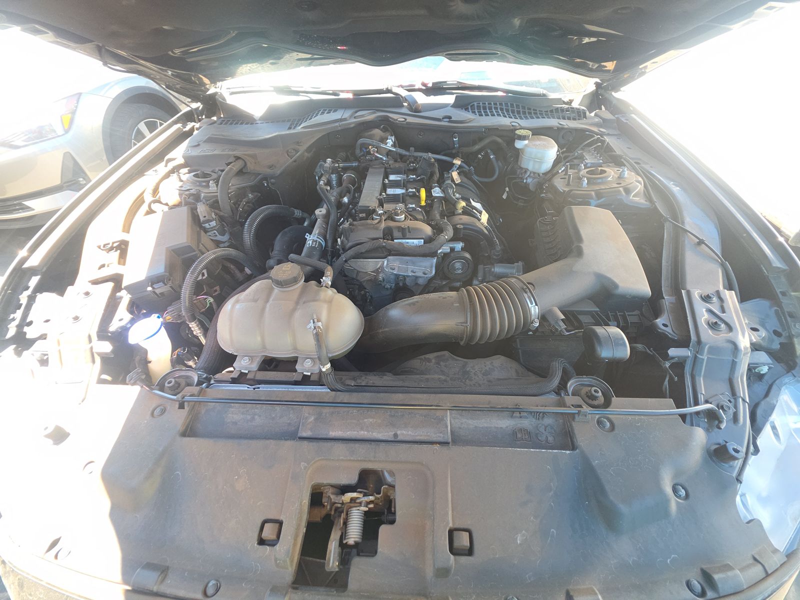 2023 Ford Mustang EcoBoost Premium RWD