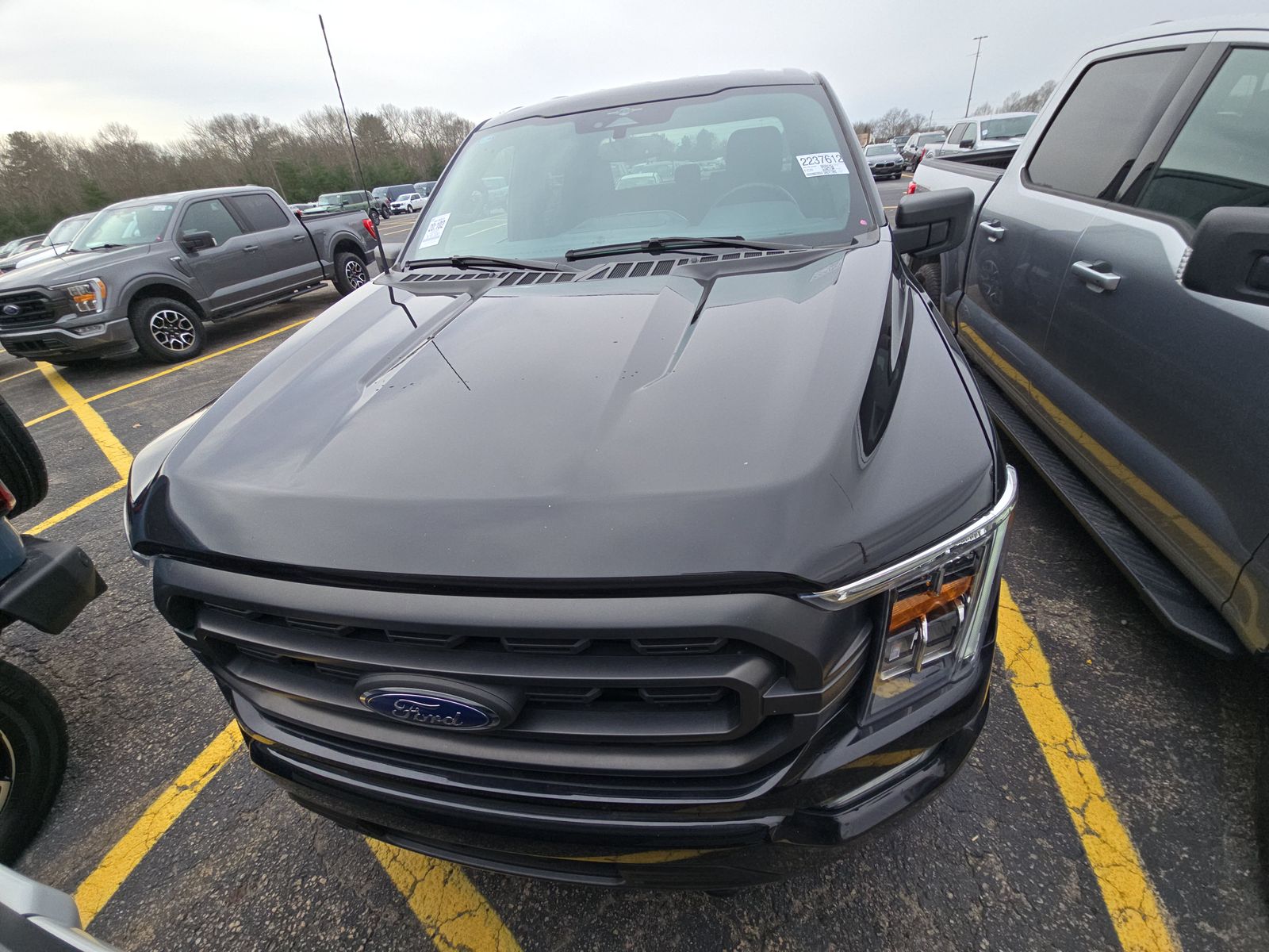 2023 Ford F-150 XLT AWD