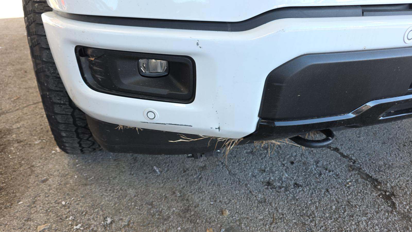 2024 Ford F-150 XLT AWD