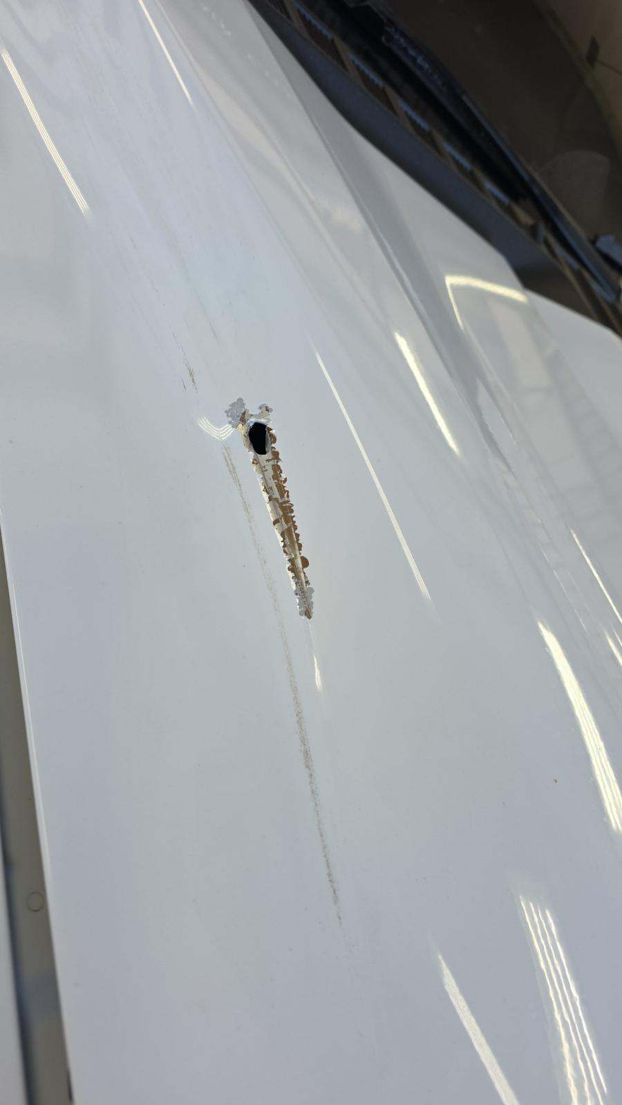 2024 Ford F-150 XLT AWD