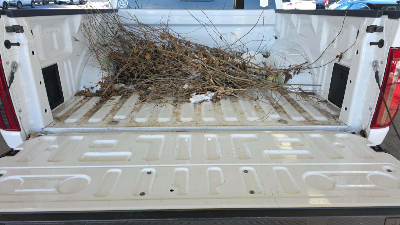 2024 Ford F-150 XLT AWD