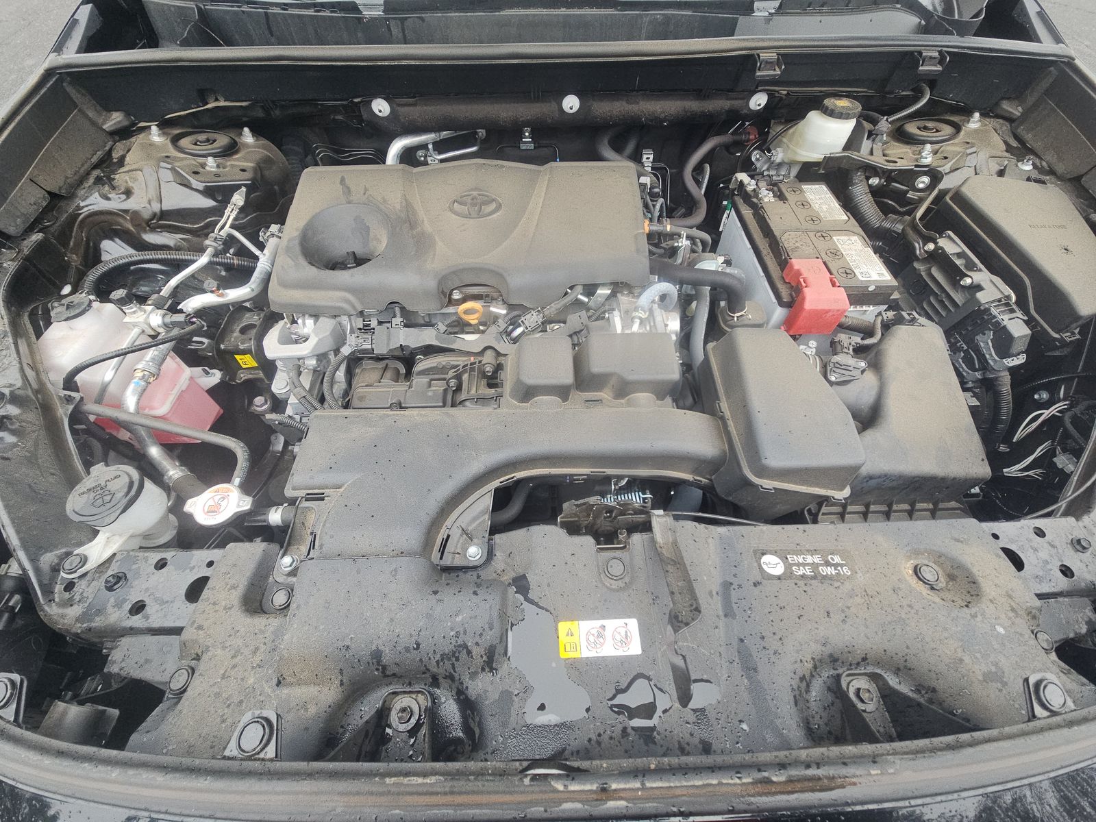 2024 Toyota RAV4 LE FWD