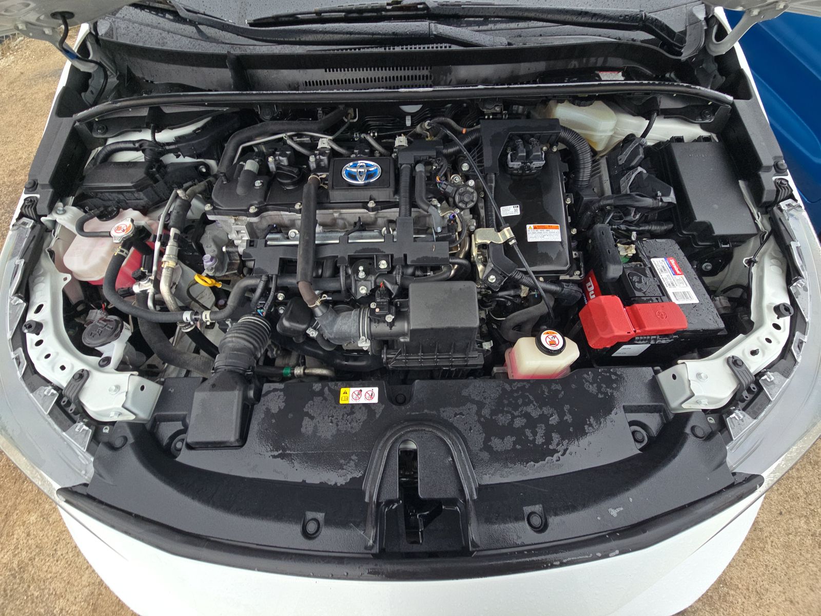 2021 Toyota Corolla Hybrid LE FWD