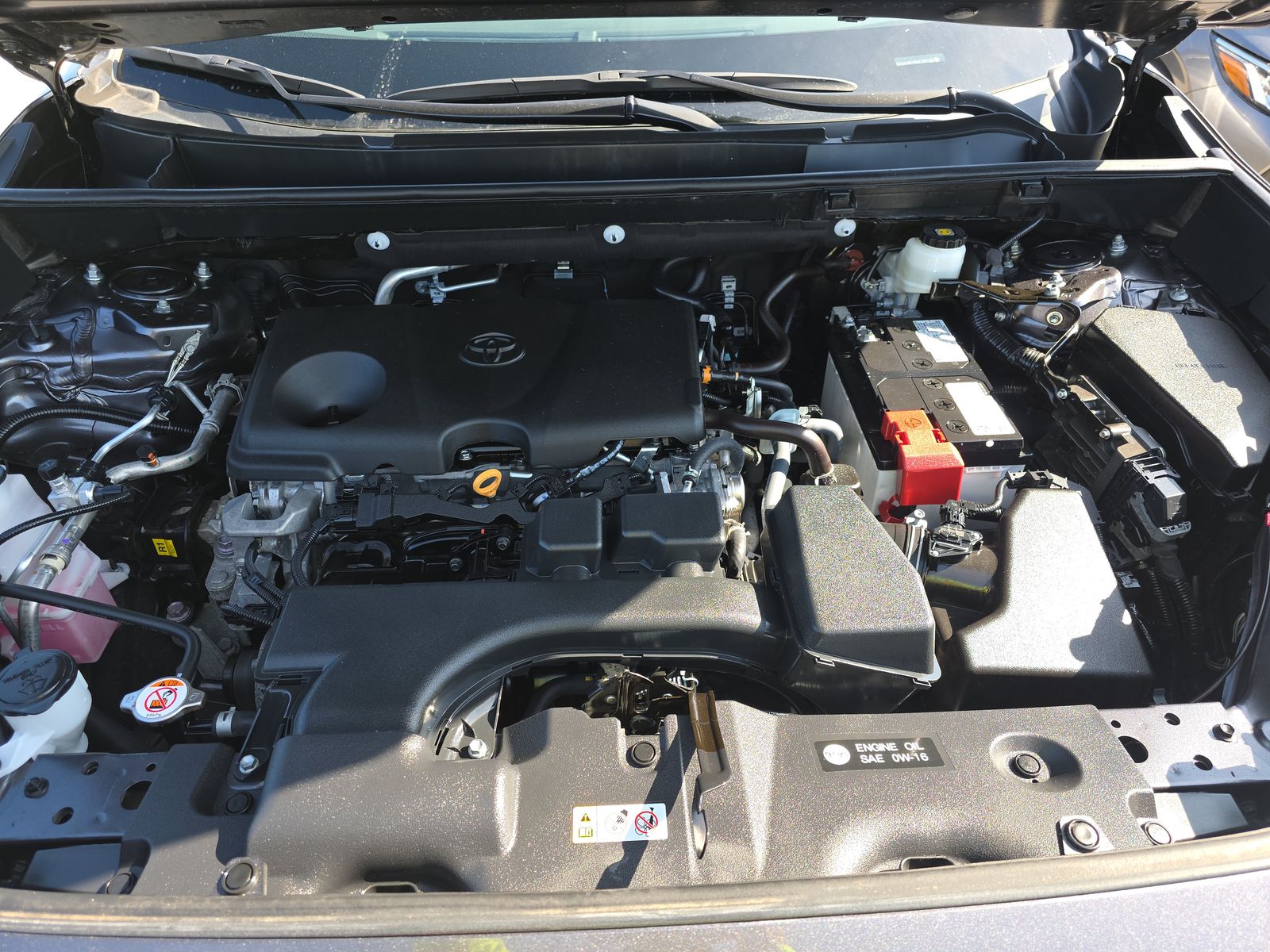 2024 Toyota RAV4 LE FWD