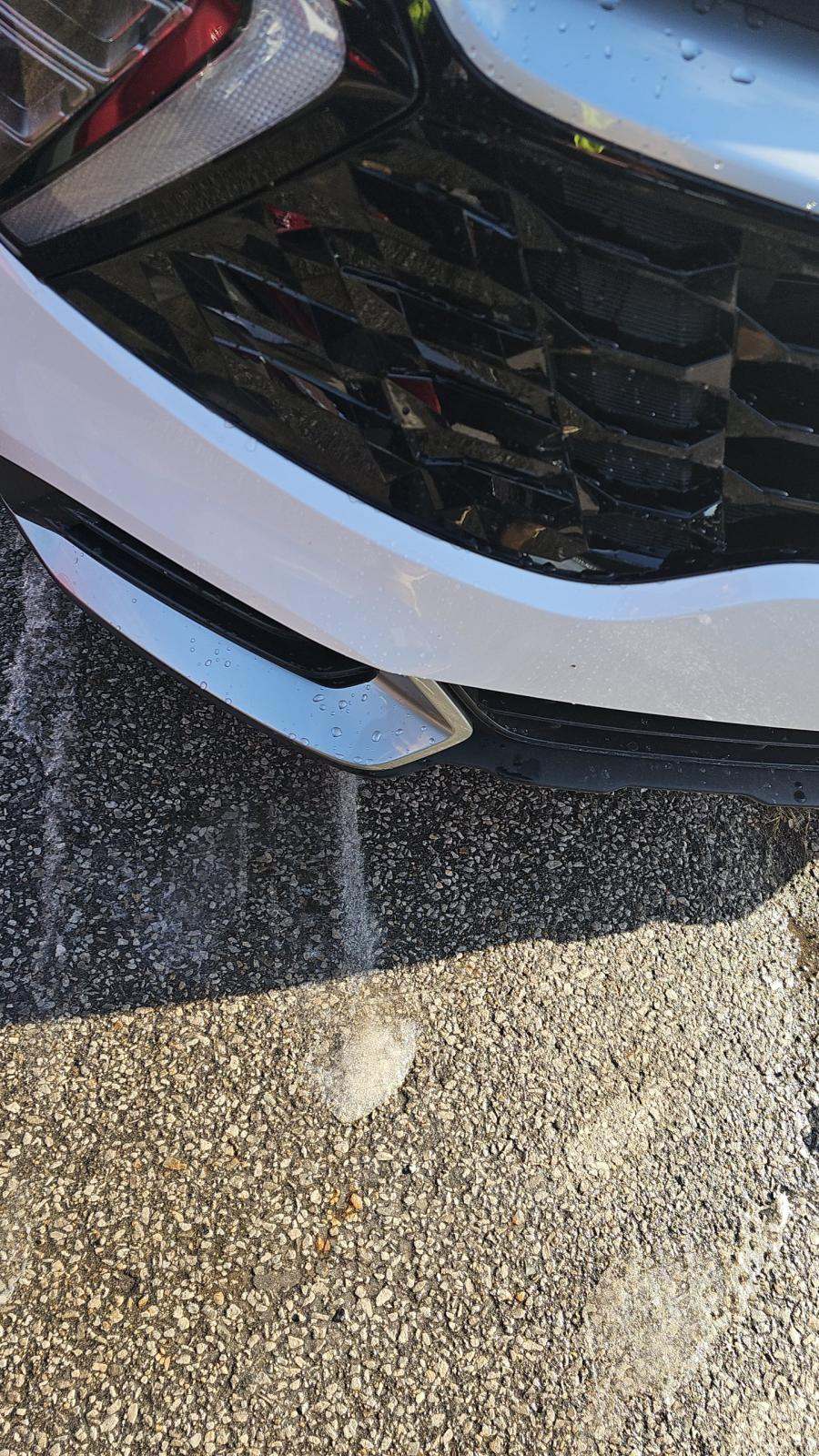 2024 Kia Sportage EX FWD