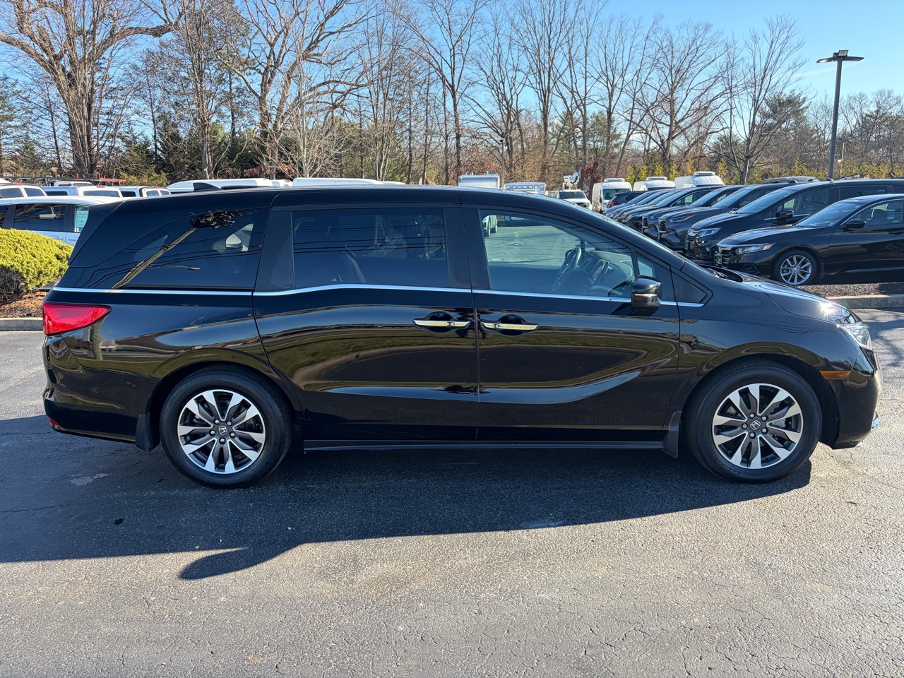 2023 Honda Odyssey EX-L FWD