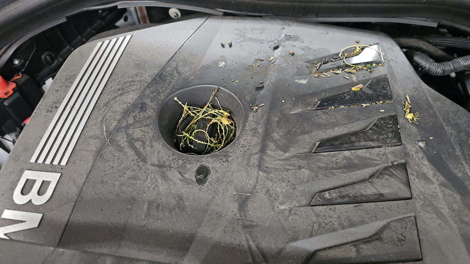 2024 BMW 7 Series 740i RWD