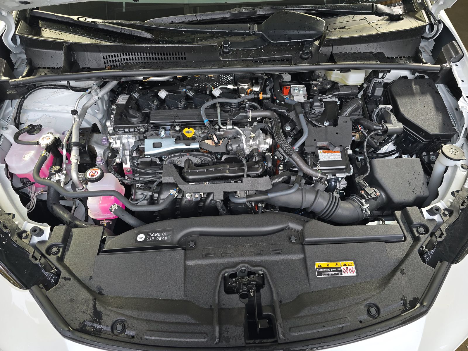 2024 Toyota Prius XLE FWD