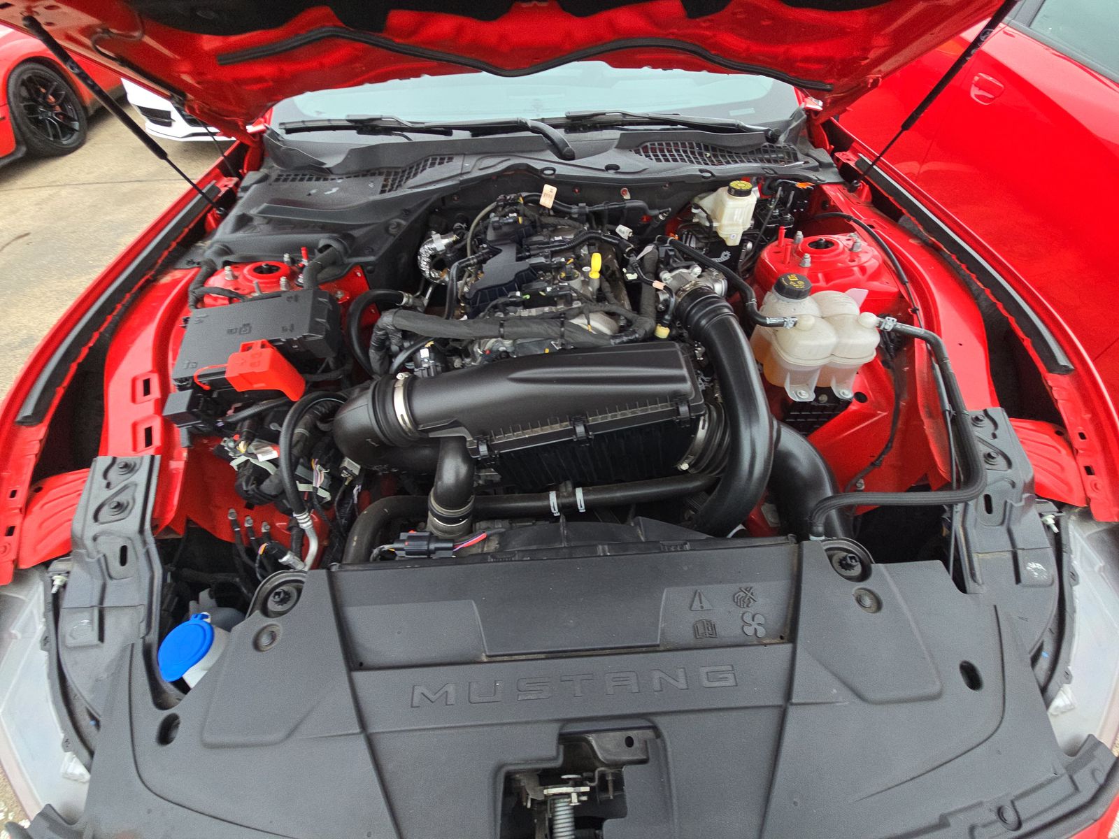 2024 Ford Mustang EcoBoost RWD