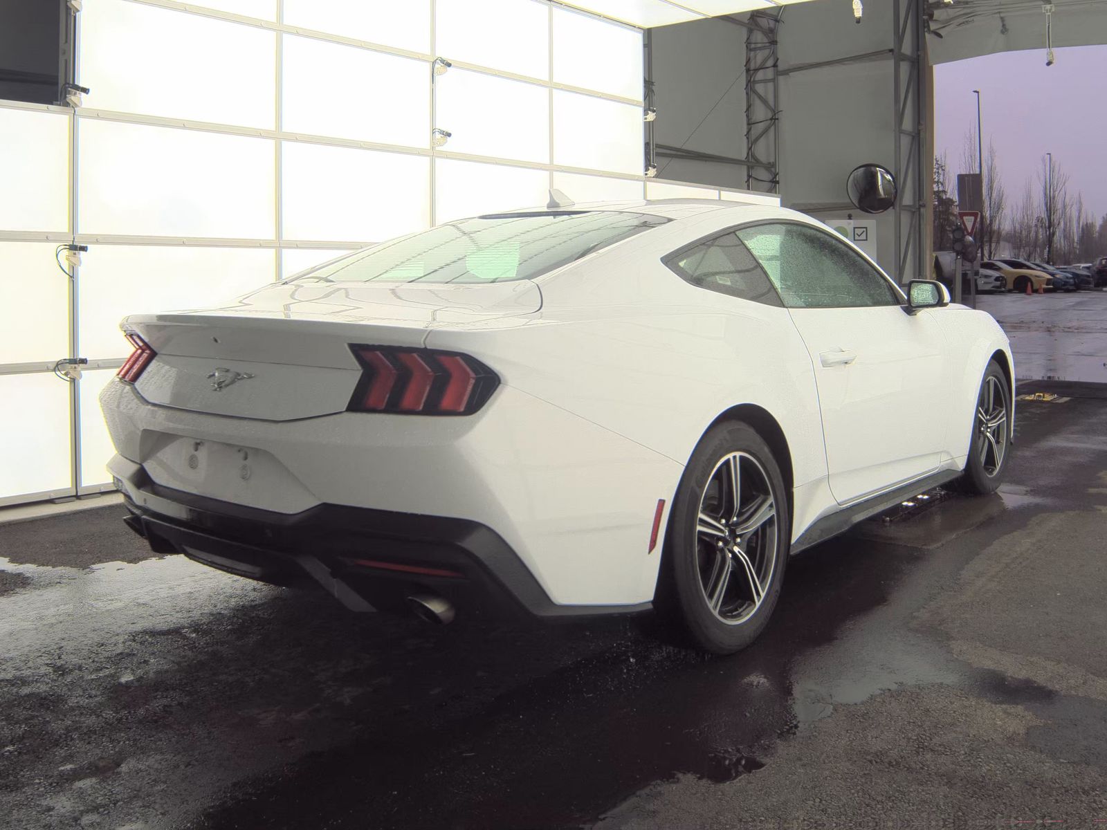 2024 Ford Mustang EcoBoost RWD