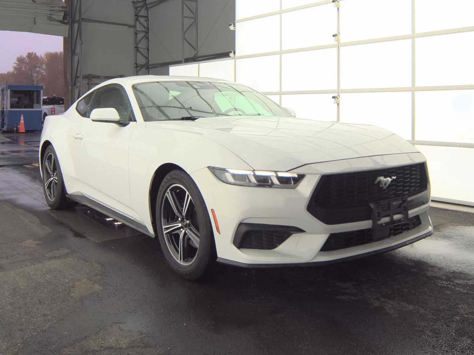 2024 Ford Mustang EcoBoost RWD