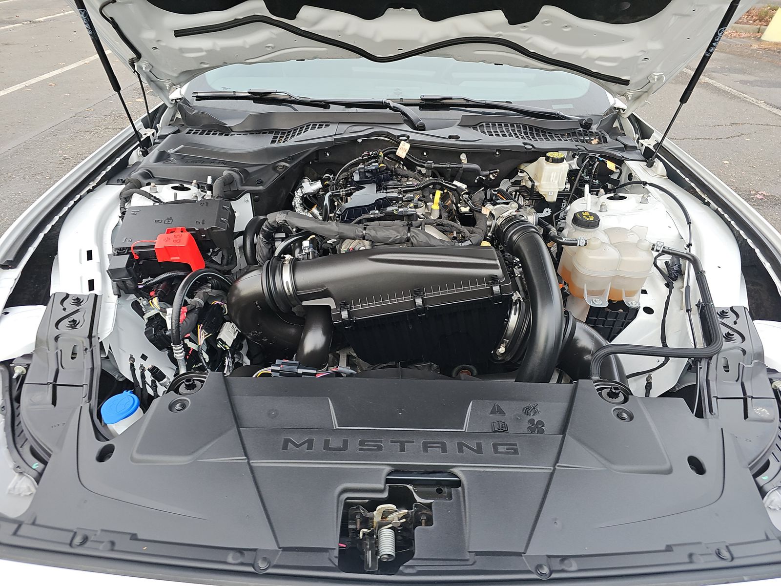 2024 Ford Mustang EcoBoost RWD