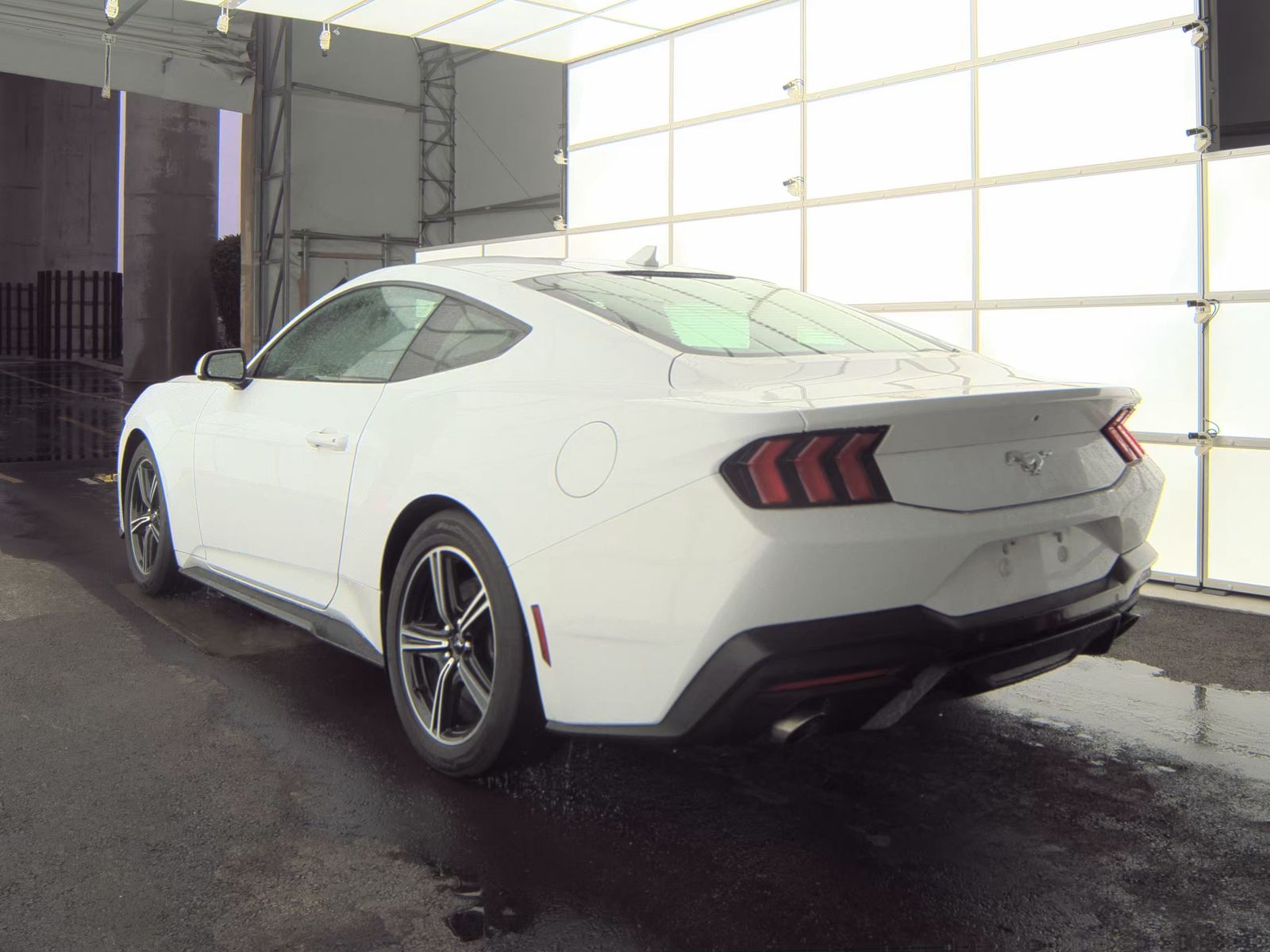 2024 Ford Mustang EcoBoost RWD