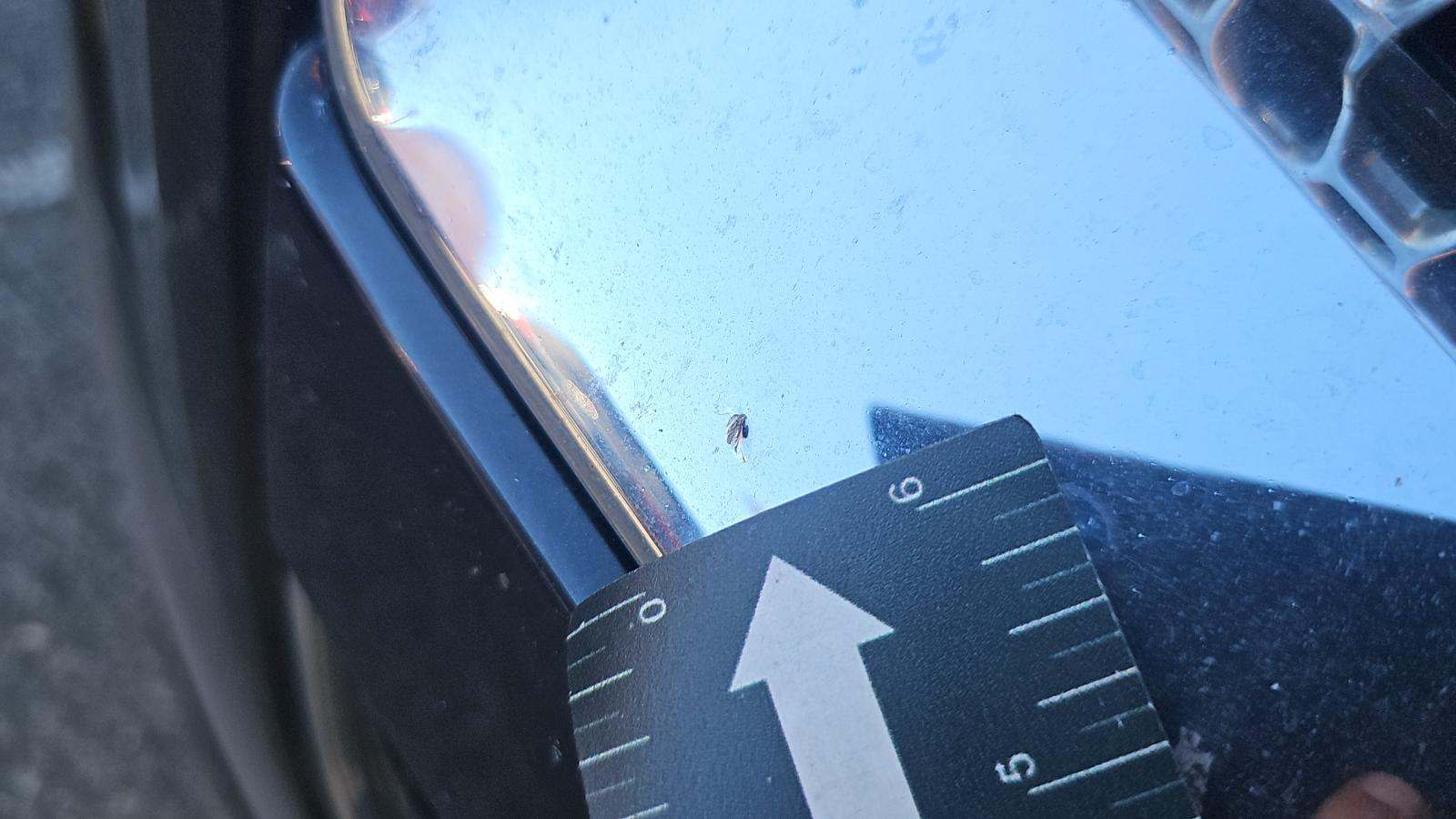 2024 Lincoln Navigator L Premiere AWD