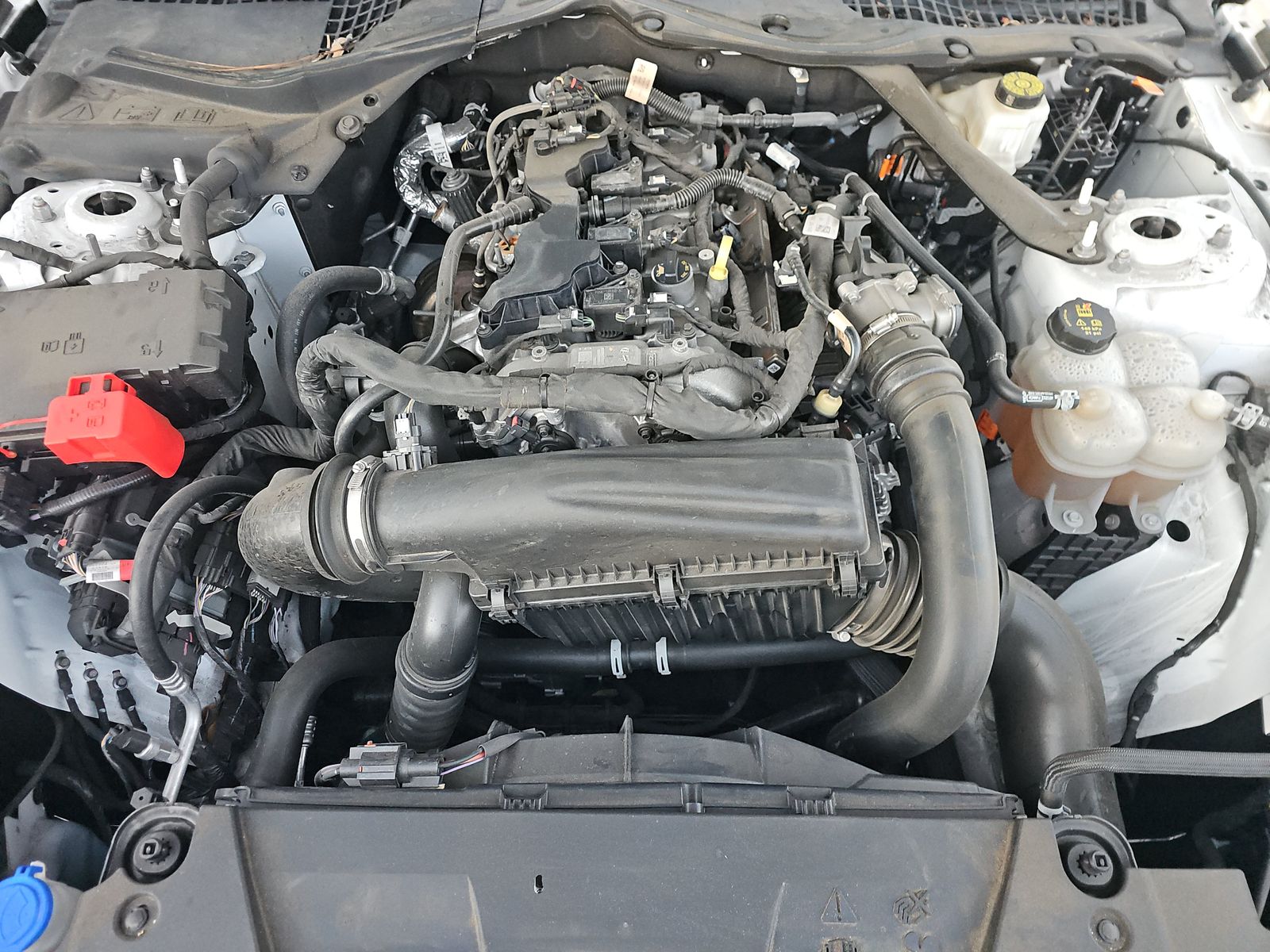 2024 Ford Mustang EcoBoost Premium RWD