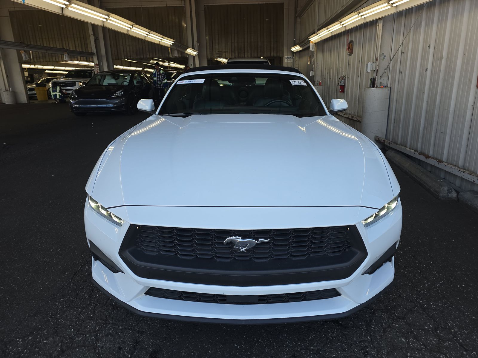 2024 Ford Mustang EcoBoost Premium RWD