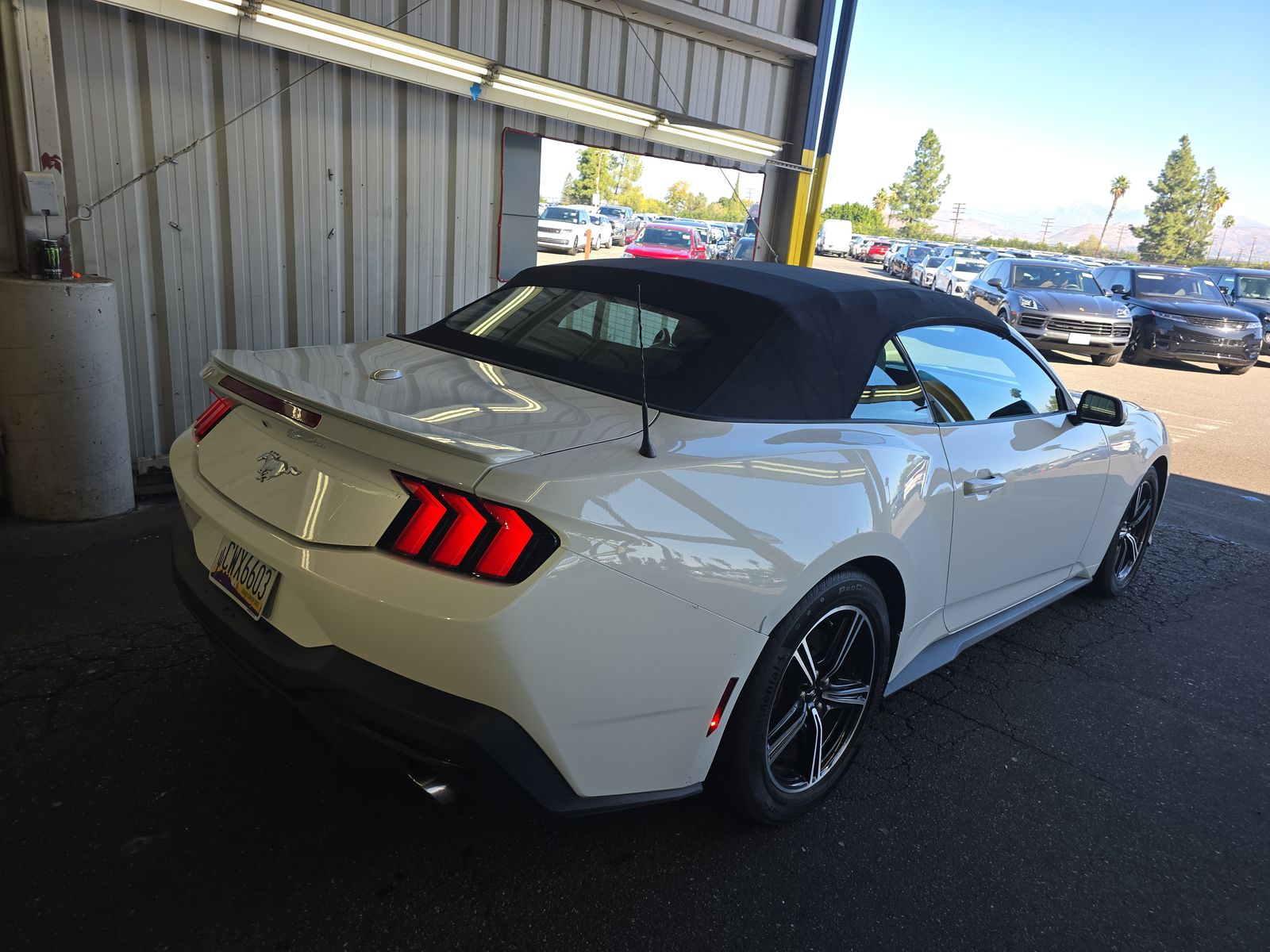 2024 Ford Mustang EcoBoost Premium RWD