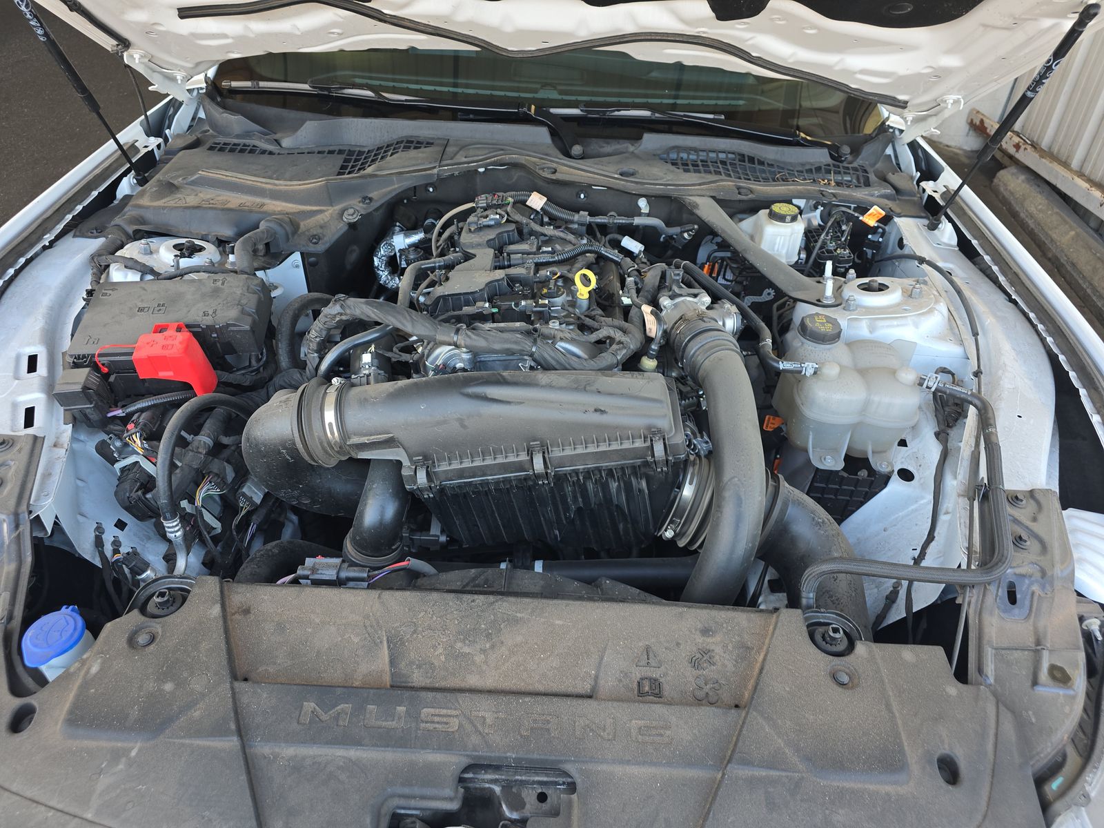 2024 Ford Mustang EcoBoost Premium RWD