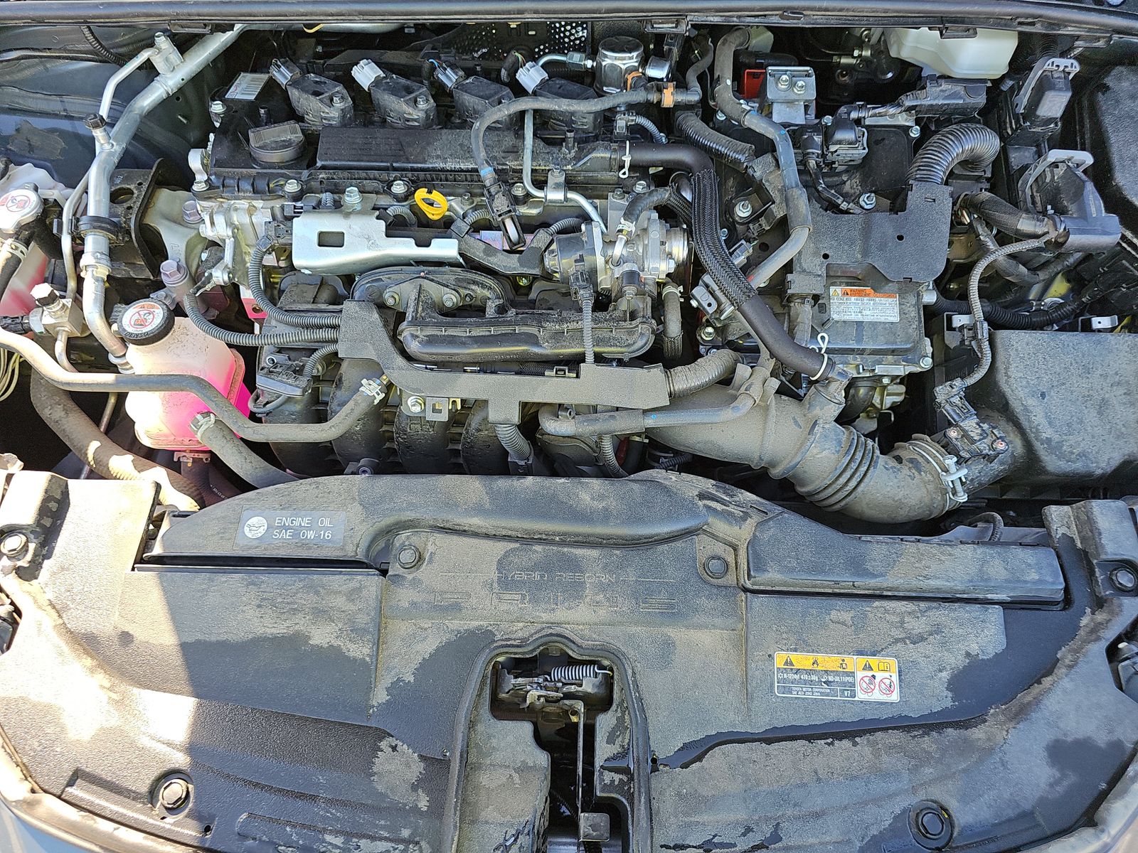 2024 Toyota Prius LE FWD