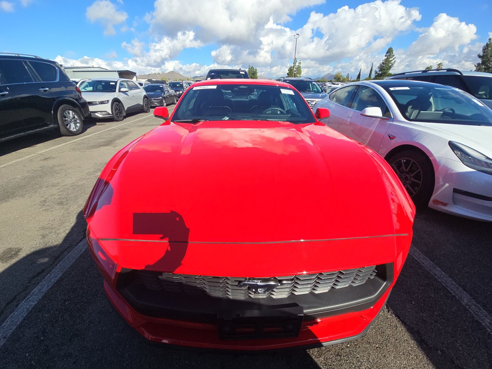 2024 Ford Mustang EcoBoost Premium RWD