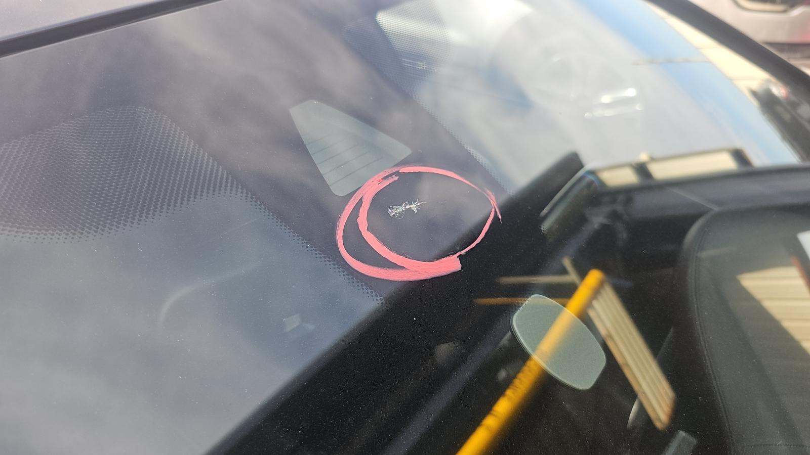 2015 BMW M5 Base RWD