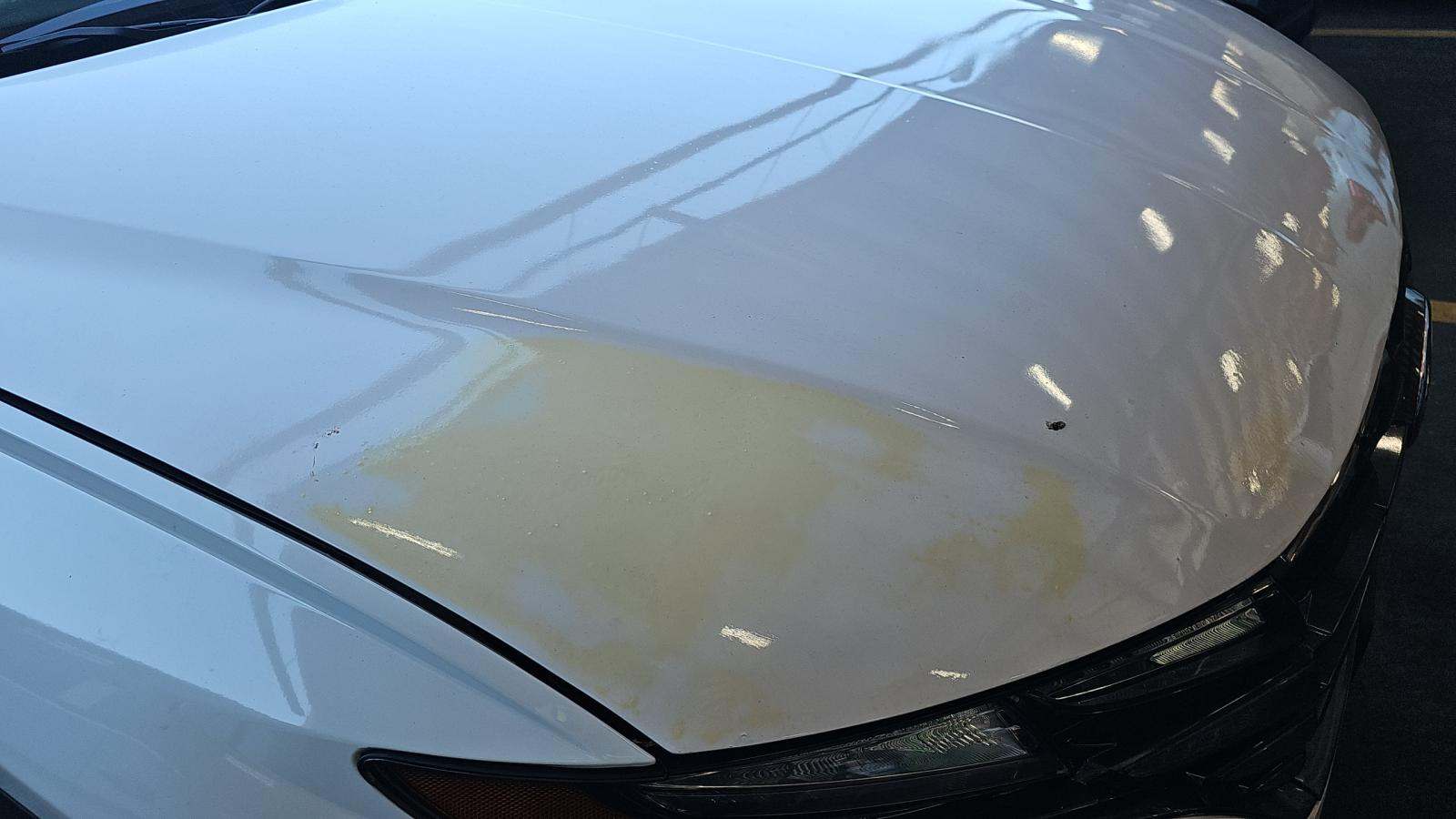 2024 Hyundai Tucson SEL FWD