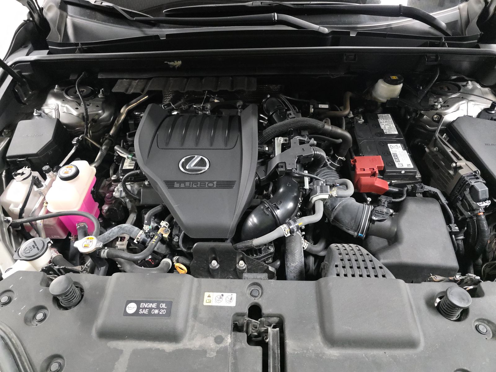 2023 Lexus NX NX 350 Luxury AWD