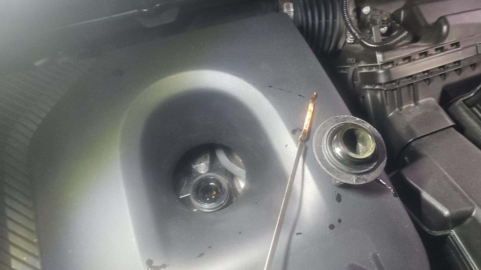 2025 Nissan Murano Platinum AWD