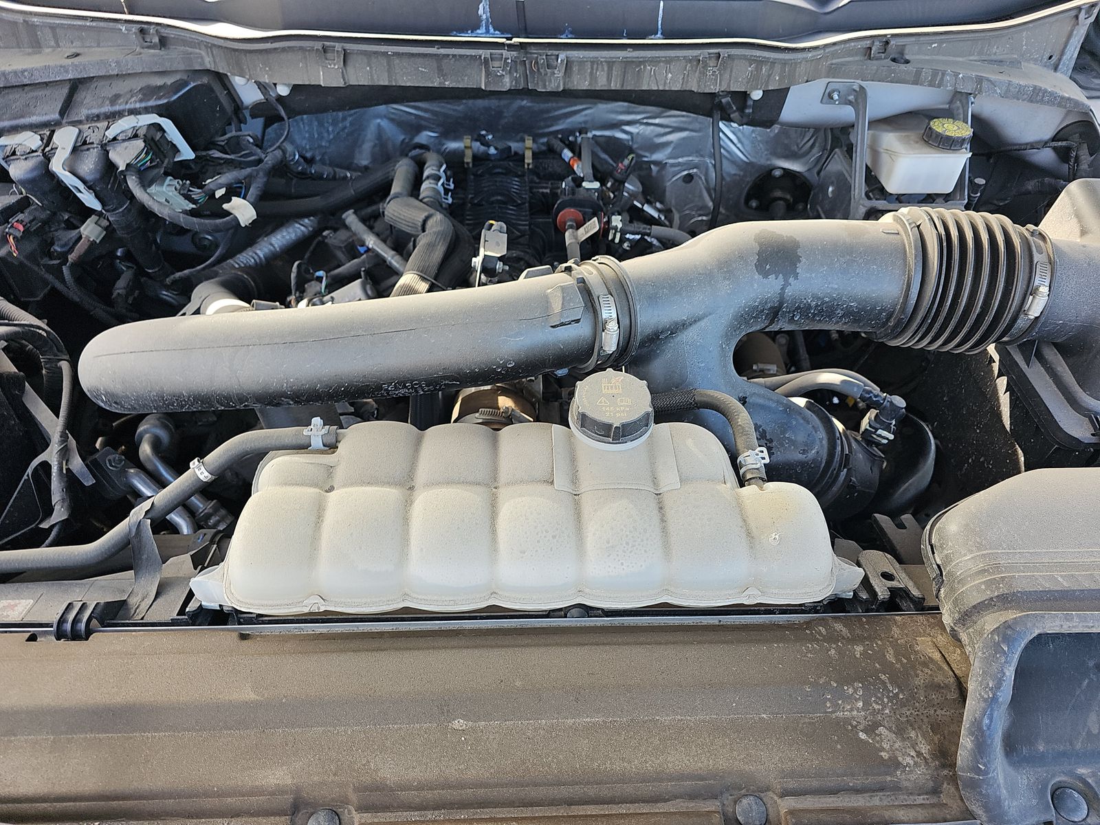 2024 Ford F-150 XLT AWD