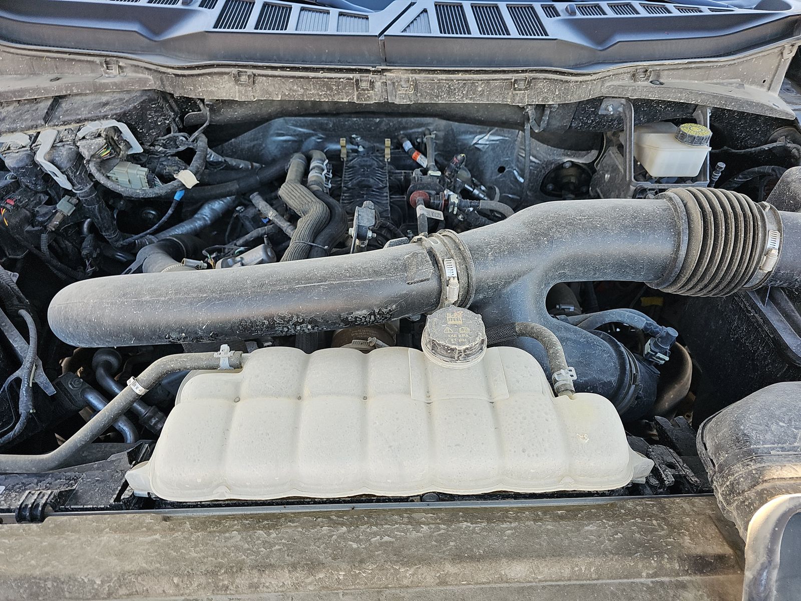 2024 Ford F-150 XLT AWD