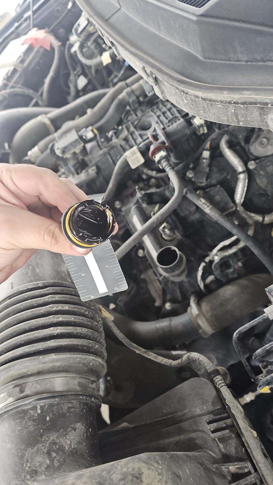 2024 Ford F-150 XLT AWD