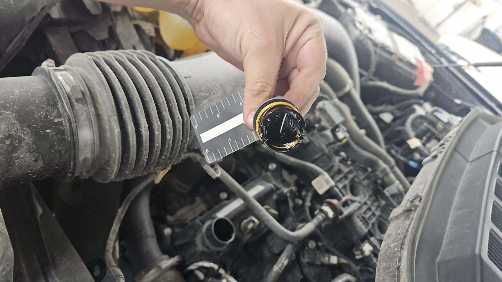 2024 Ford F-150 XLT AWD