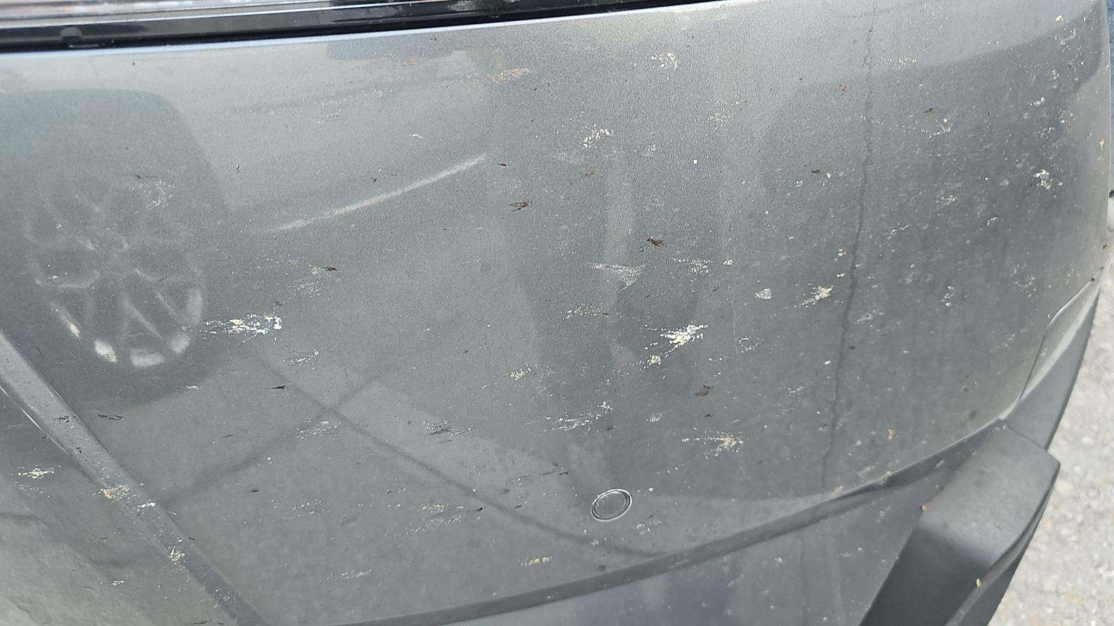 2024 Nissan Pathfinder SL AWD