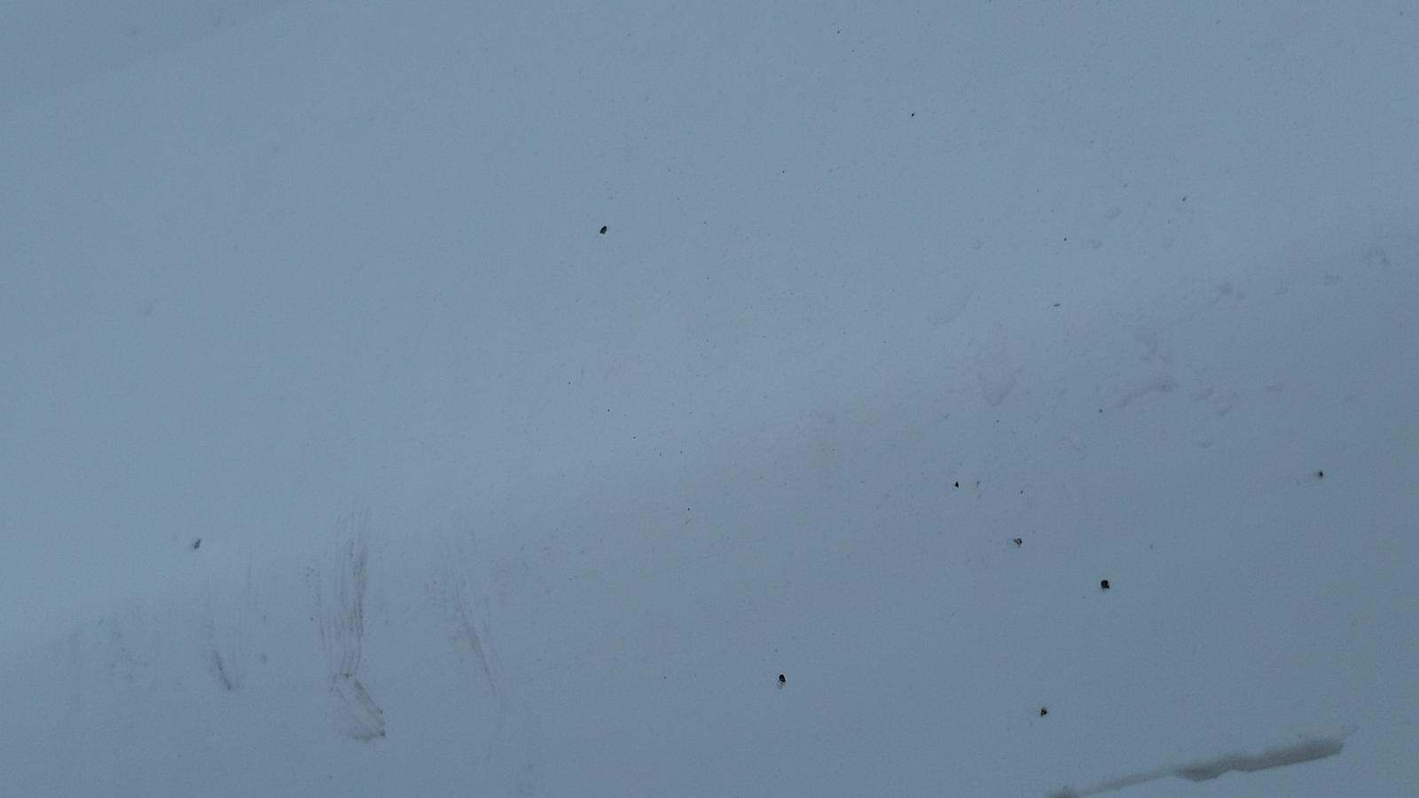 2020 Chevrolet Silverado 1500 LT AWD