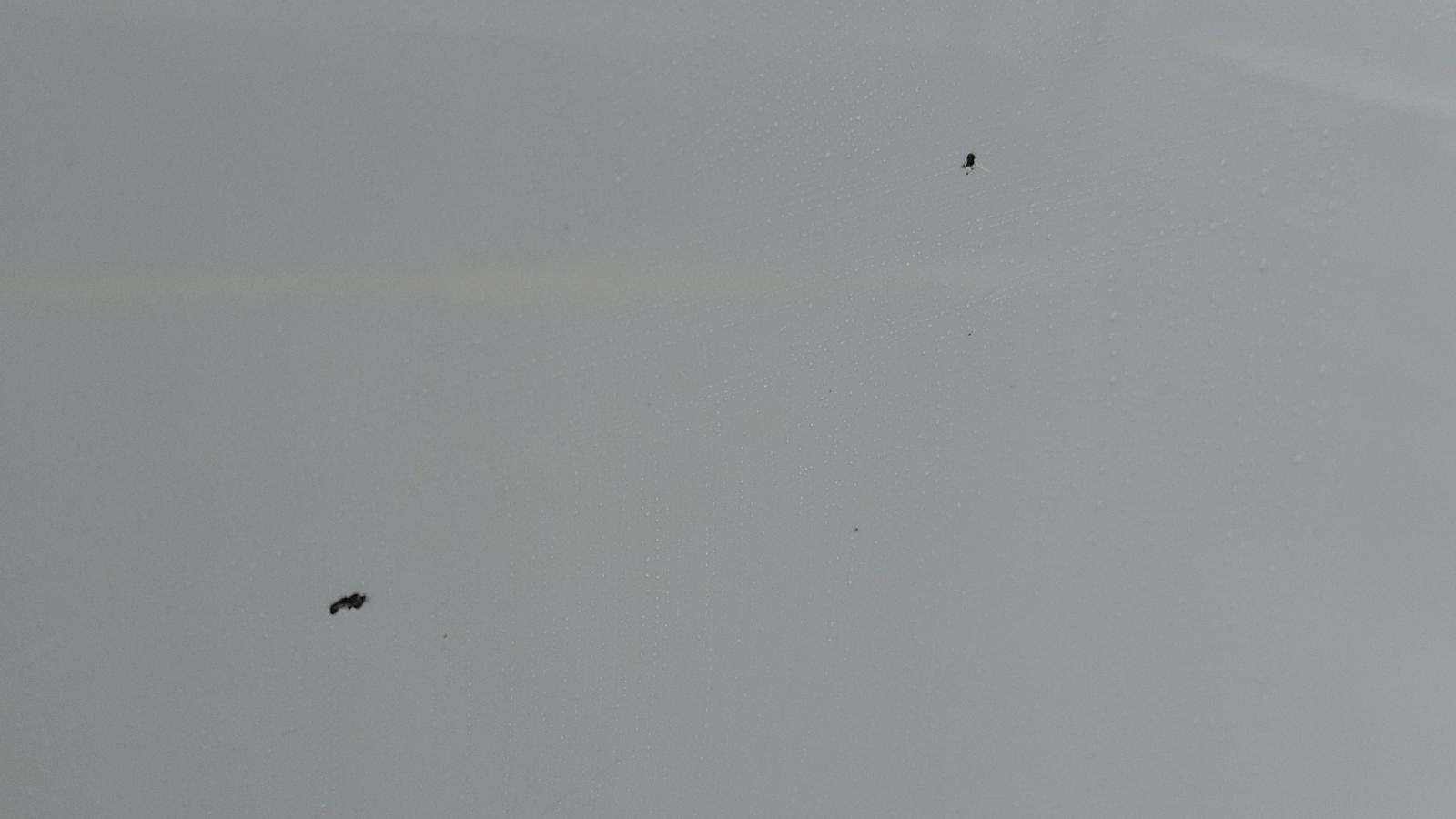 2020 Chevrolet Silverado 1500 LT AWD