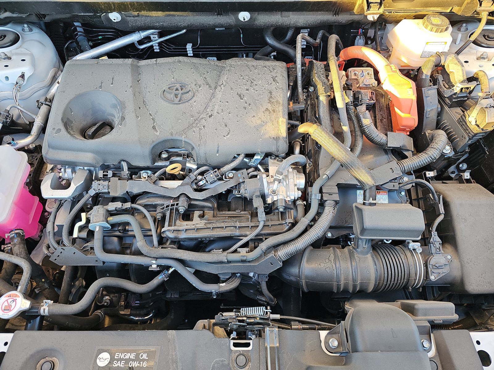 2024 Toyota RAV4 Hybrid LE AWD