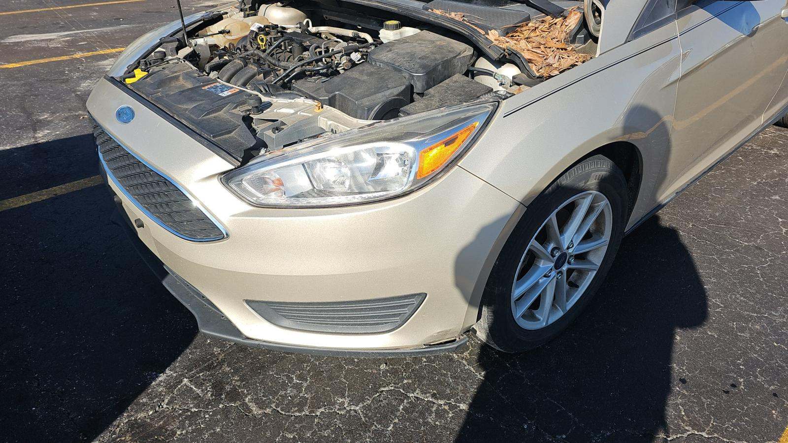 2018 Ford Focus SE FWD