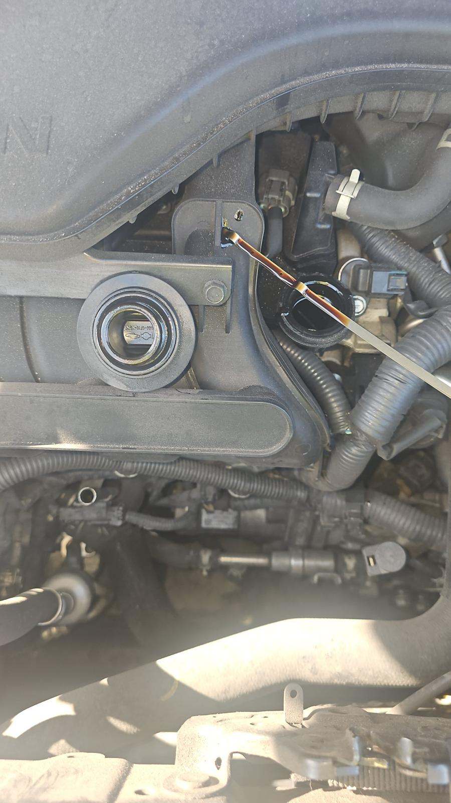 2021 Nissan Rogue Sport SL AWD