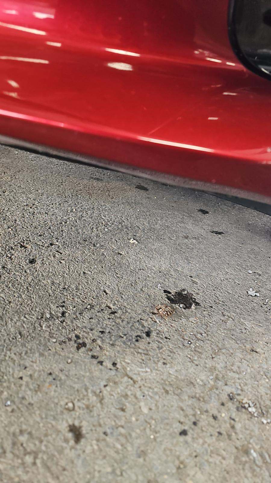 2022 Kia K5 GT-Line FWD