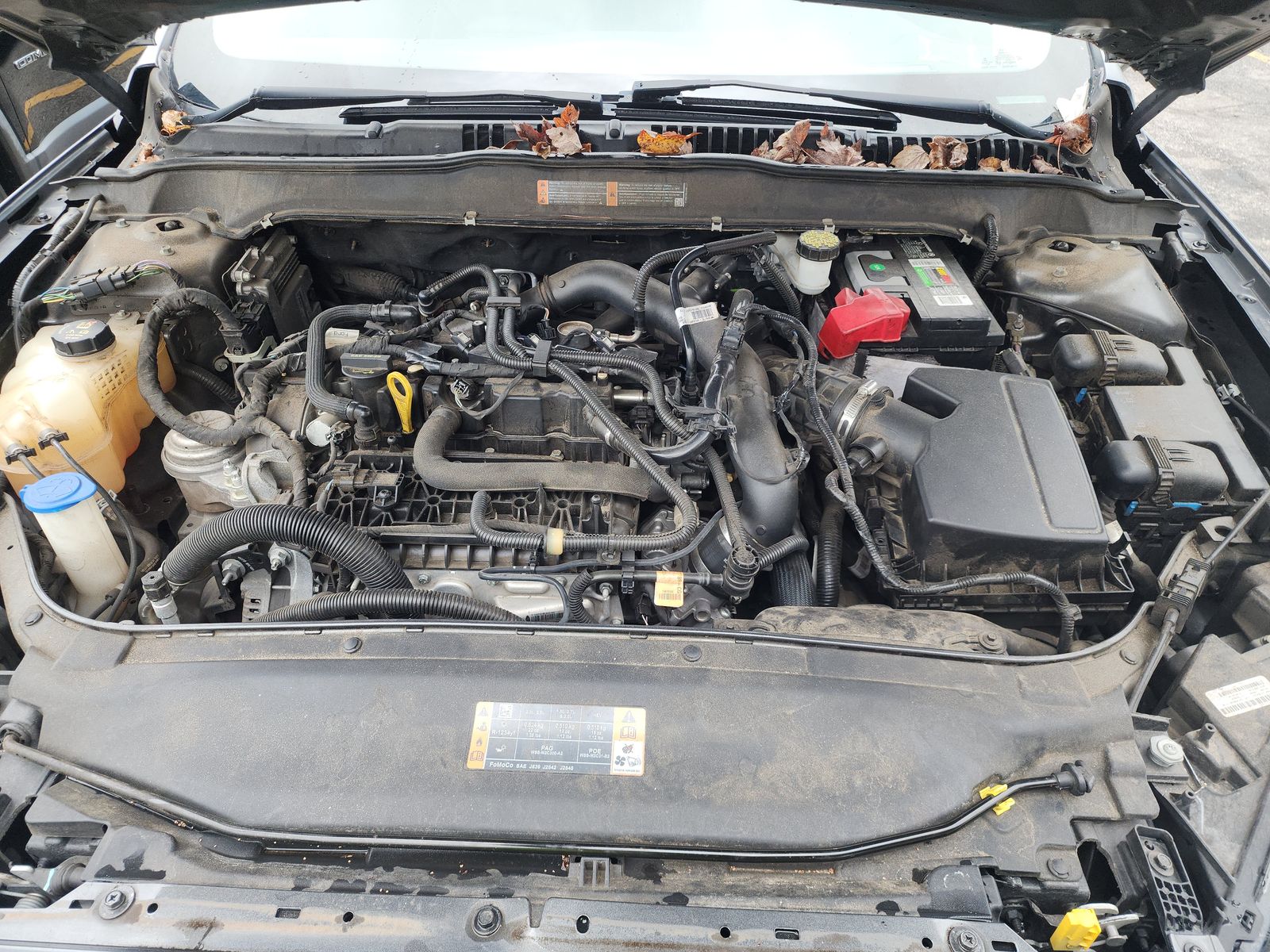 2019 Ford Fusion SEL FWD