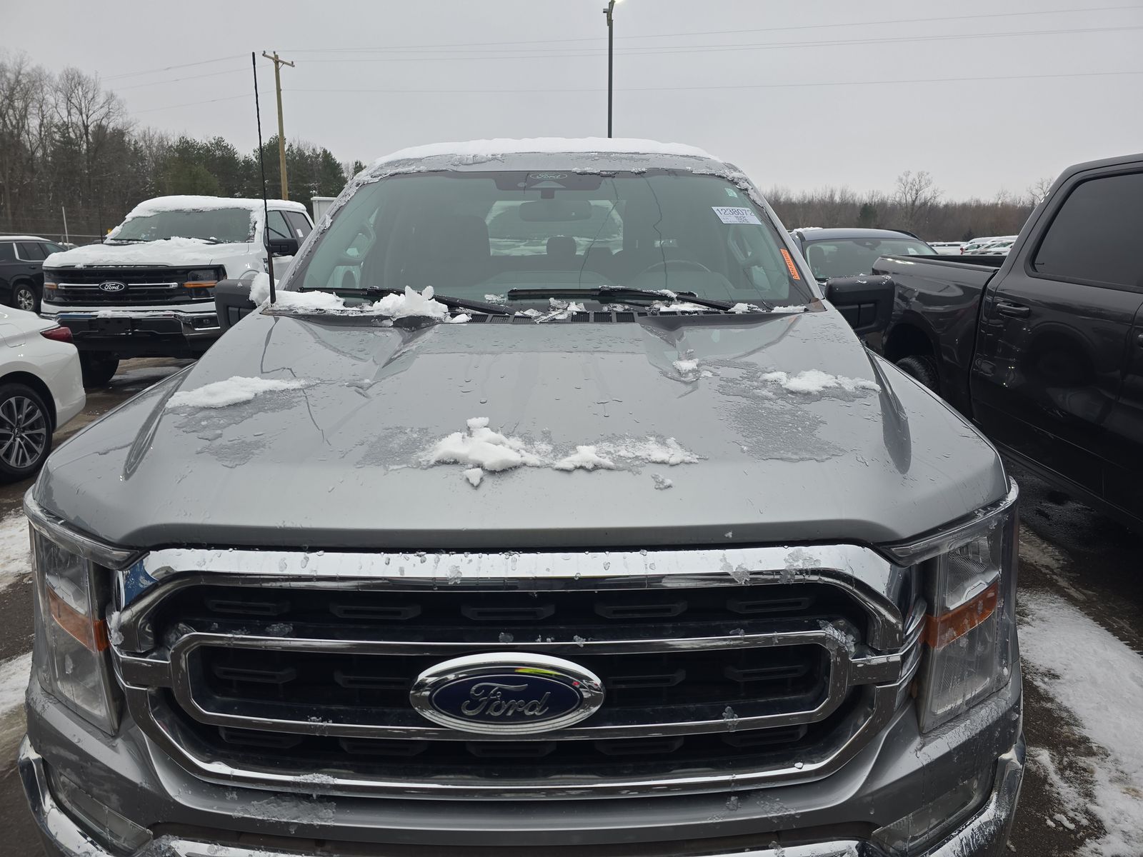 2023 Ford F-150 XLT AWD