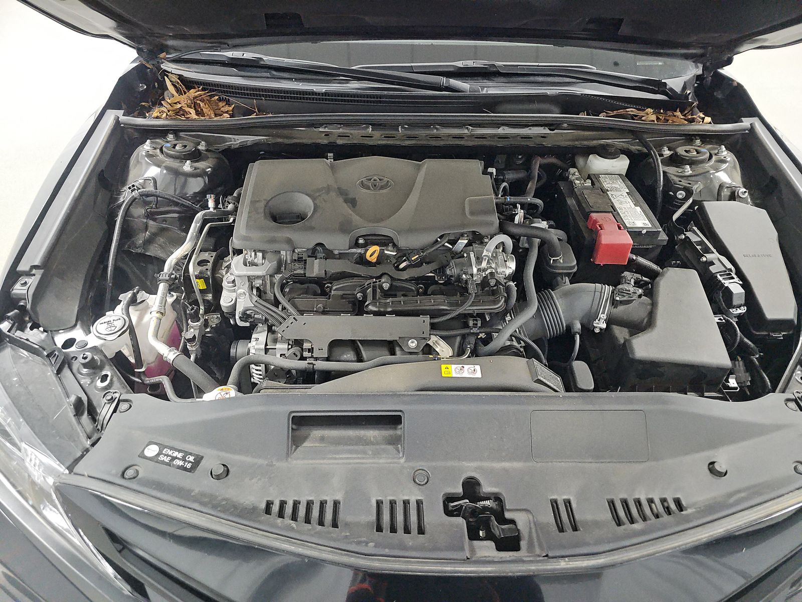 2024 Toyota Camry SE FWD