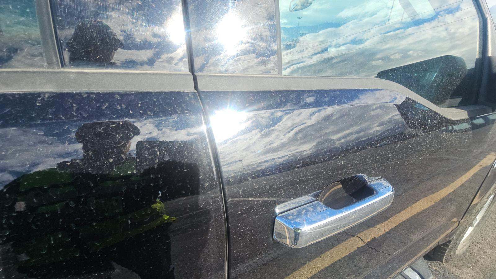 2024 Ford F-150 XLT AWD