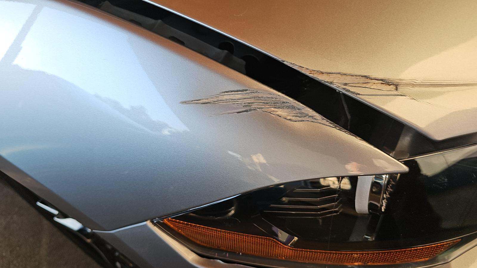 2022 Ford Mustang EcoBoost RWD