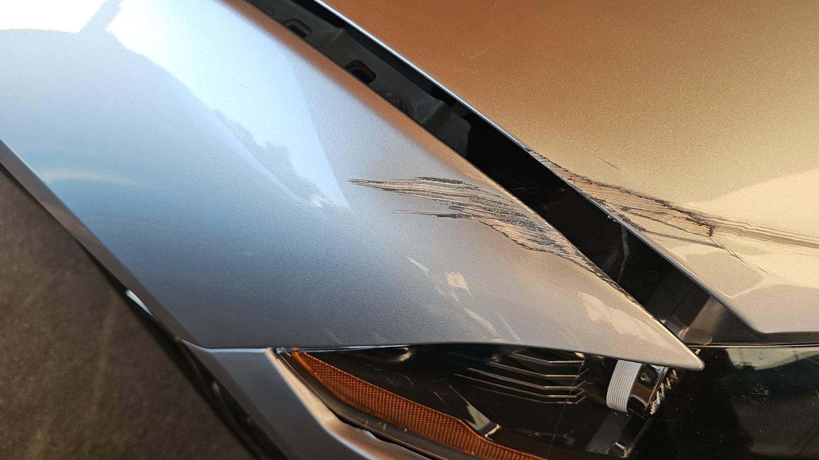 2022 Ford Mustang EcoBoost RWD