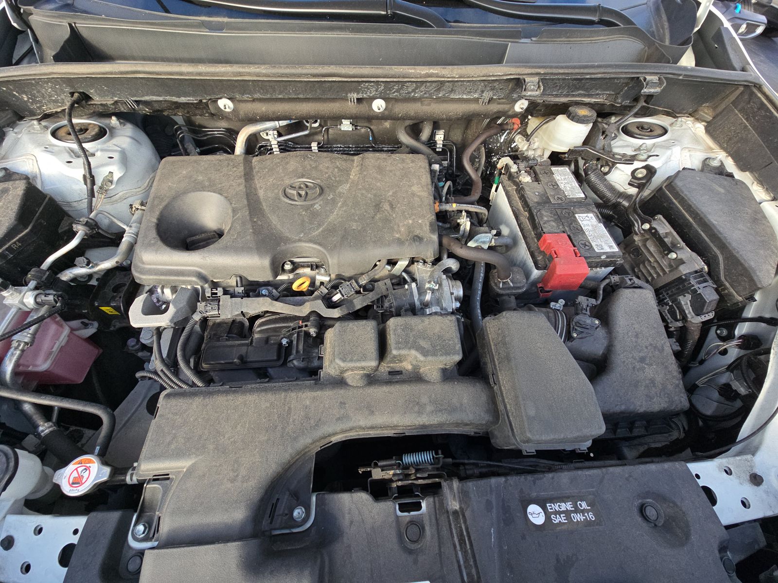 2024 Toyota RAV4 XLE AWD