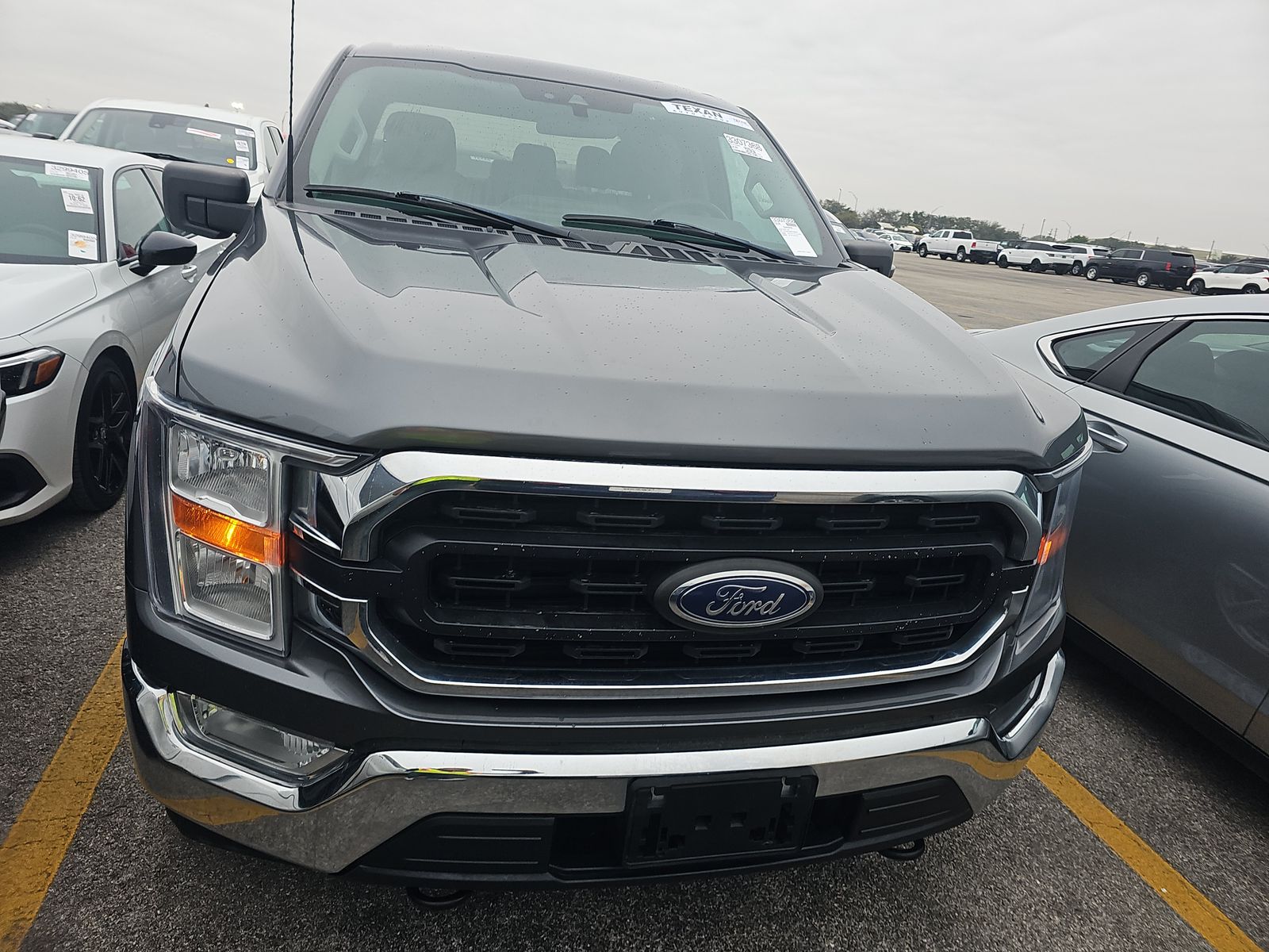 2023 Ford F-150 XLT AWD