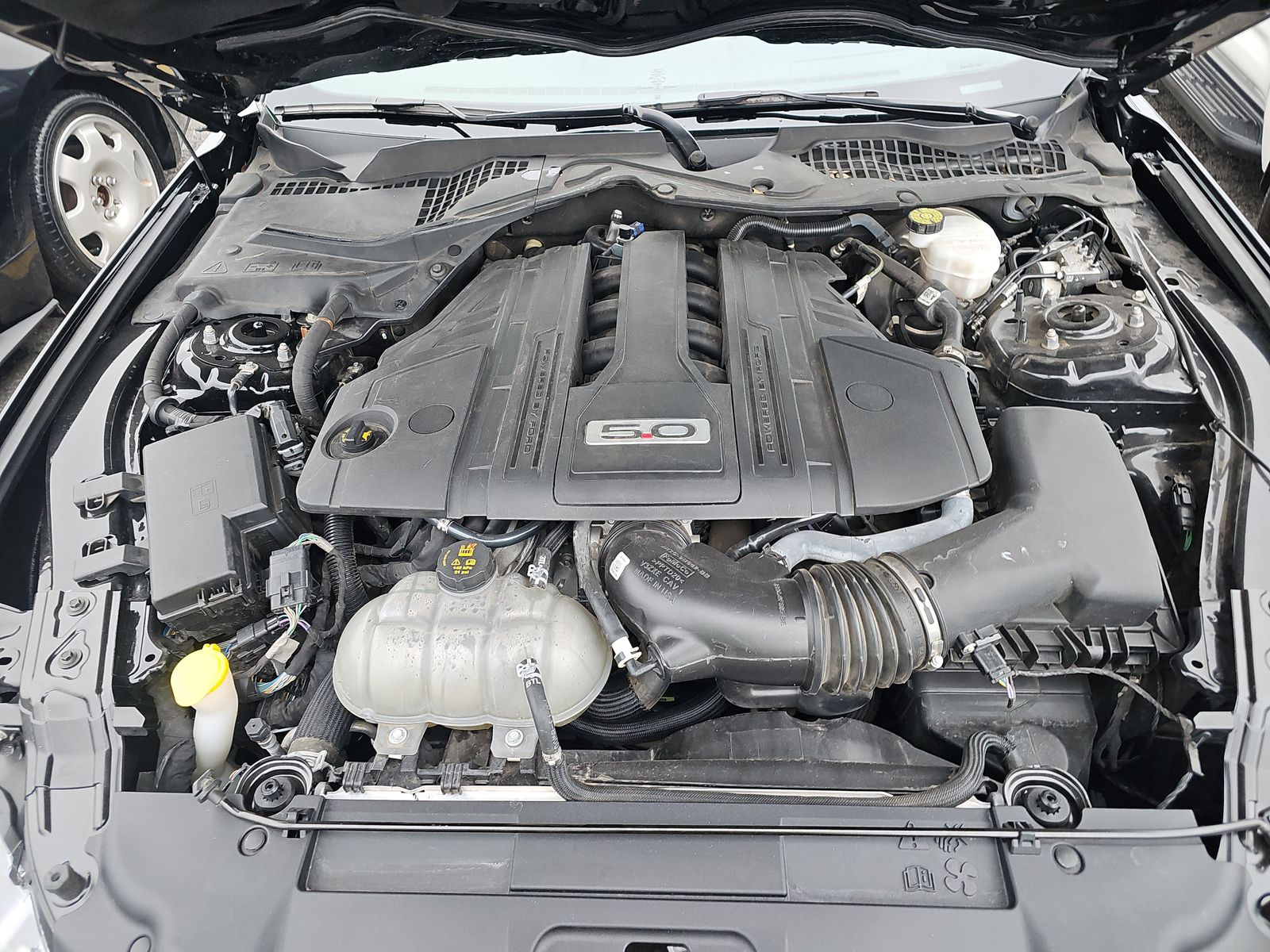 2022 Ford Mustang GT Premium RWD