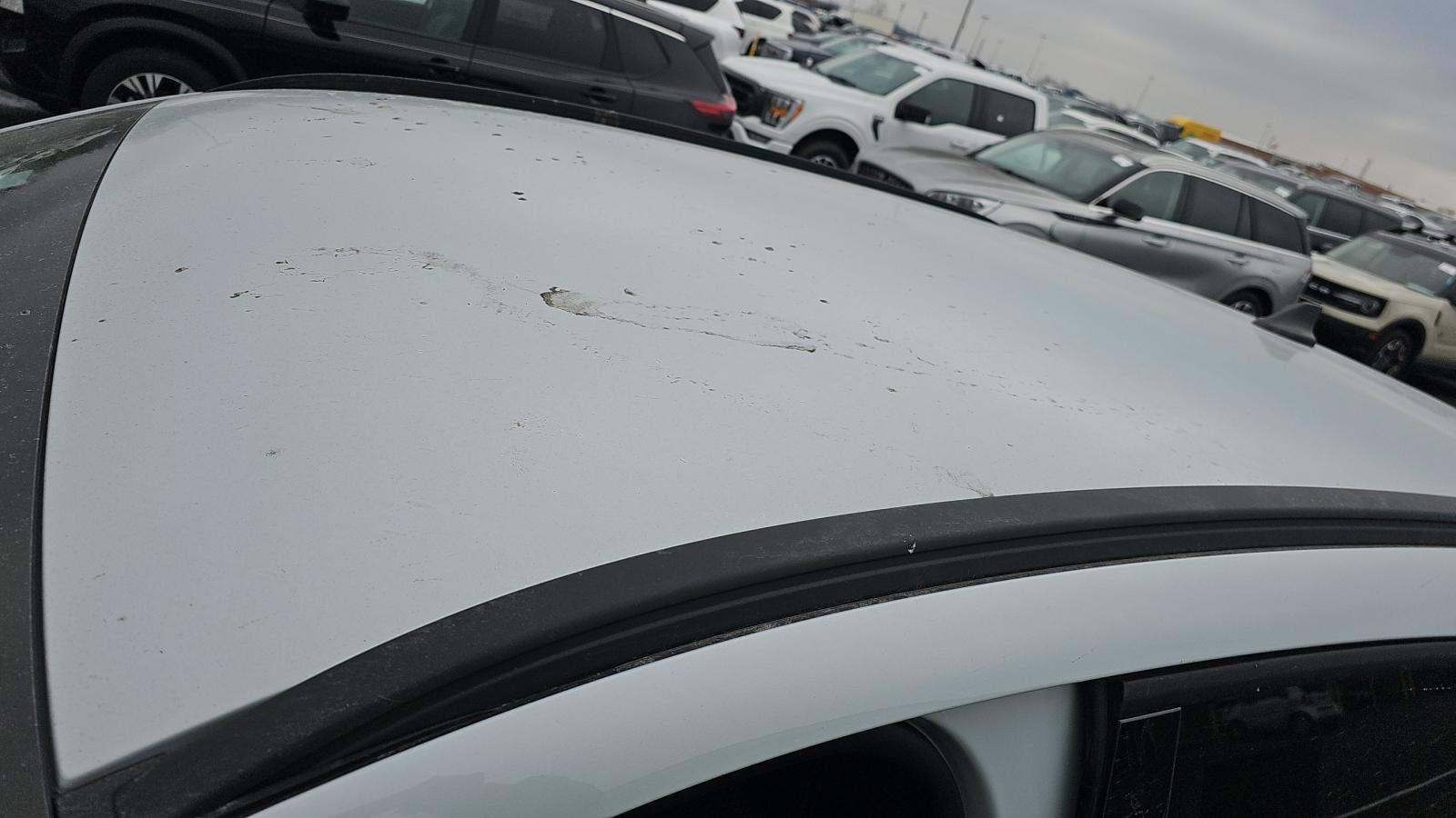 2025 Ford Escape ST-Line AWD