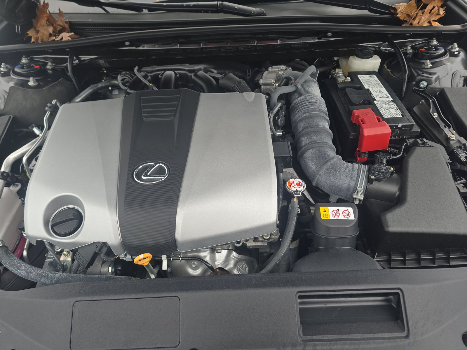 2024 Lexus ES ES 350 Luxury FWD